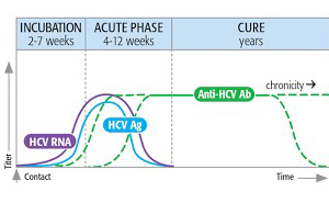 VIRAL HEPATITIS PROFILE