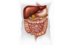 GASTRO- ENTEROLOGY