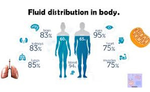 BODY FLUID