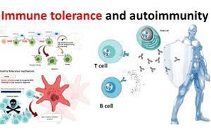 AUTOIMMUNITY